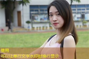 Exploration of the Governance Model of Shanghai's Second and Third-Tier Cities